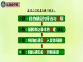 2024春高中生物第3章基因工程3.2基因工程的基本操作程序第1课时课件新人教版选择性必修3