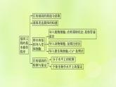 2024春高中生物第3章基因工程3.2基因工程的基本操作程序第2课时课件新人教版选择性必修3