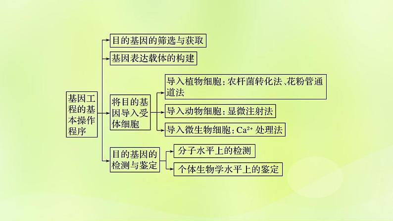 2024春高中生物第3章基因工程3.2基因工程的基本操作程序第2课时课件新人教版选择性必修3第2页