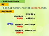 2024春高中生物第3章基因工程3.2基因工程的基本操作程序第2课时课件新人教版选择性必修3