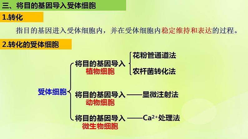 2024春高中生物第3章基因工程3.2基因工程的基本操作程序第2课时课件新人教版选择性必修3第3页