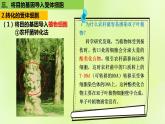 2024春高中生物第3章基因工程3.2基因工程的基本操作程序第2课时课件新人教版选择性必修3