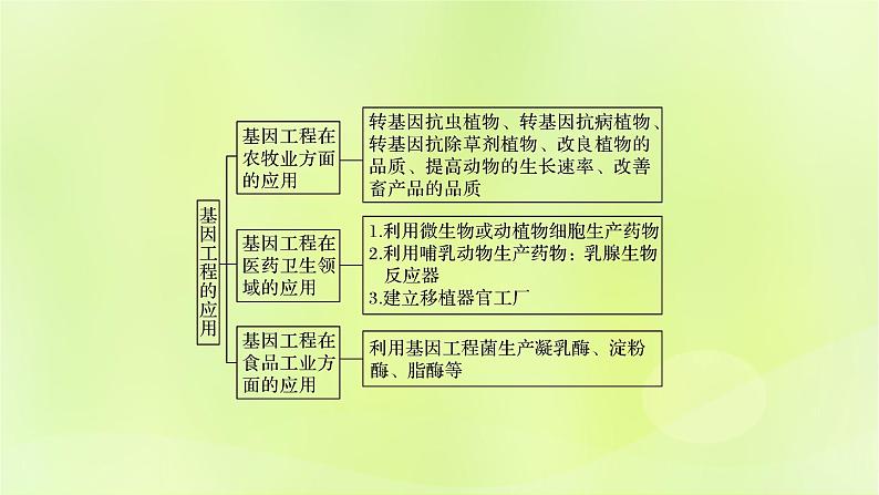 2024春高中生物第3章基因工程3.3基因工程的应用课件新人教版选择性必修302