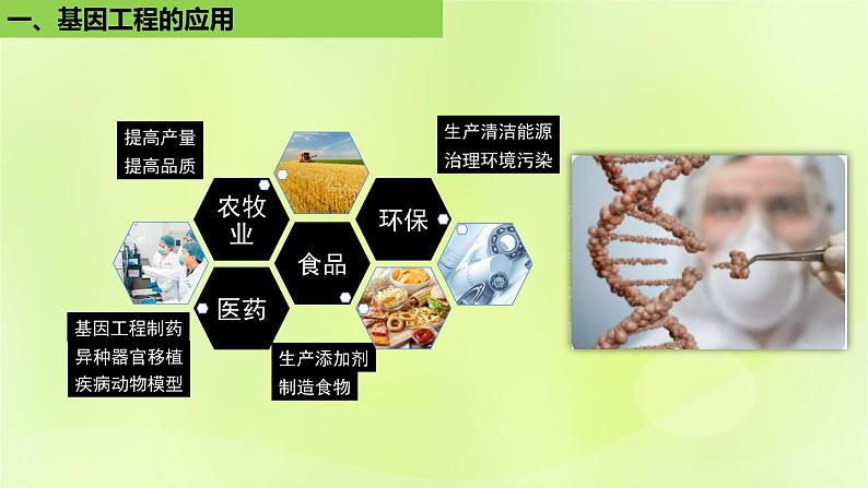 2024春高中生物第3章基因工程3.3基因工程的应用课件新人教版选择性必修304