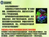 2024春高中生物第3章基因工程3.4蛋白质工程的原理和应用课件新人教版选择性必修3