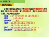 2024春高中生物第3章基因工程3.4蛋白质工程的原理和应用课件新人教版选择性必修3