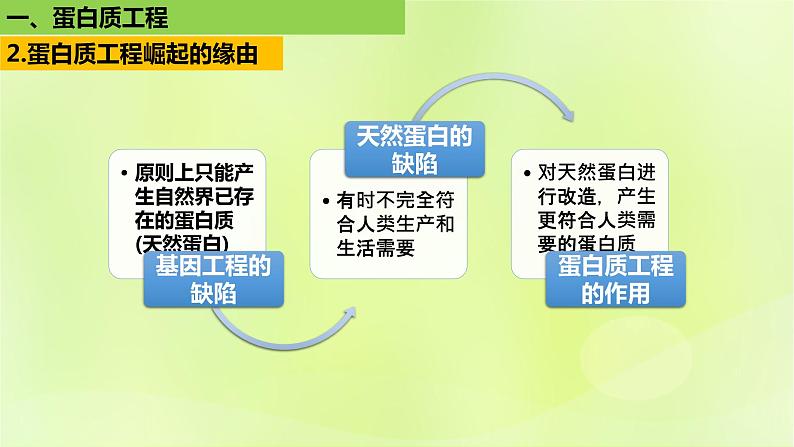 2024春高中生物第3章基因工程3.4蛋白质工程的原理和应用课件新人教版选择性必修3第5页