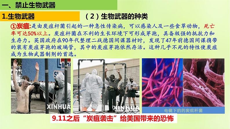 2024春高中生物第4章生物技术的安全性与伦理问题4.3禁止生物武器课件新人教版选择性必修307