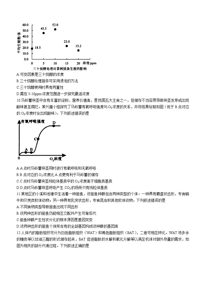 2024宁波十校联盟高三下学期3月联考试题（二模）生物含答案03