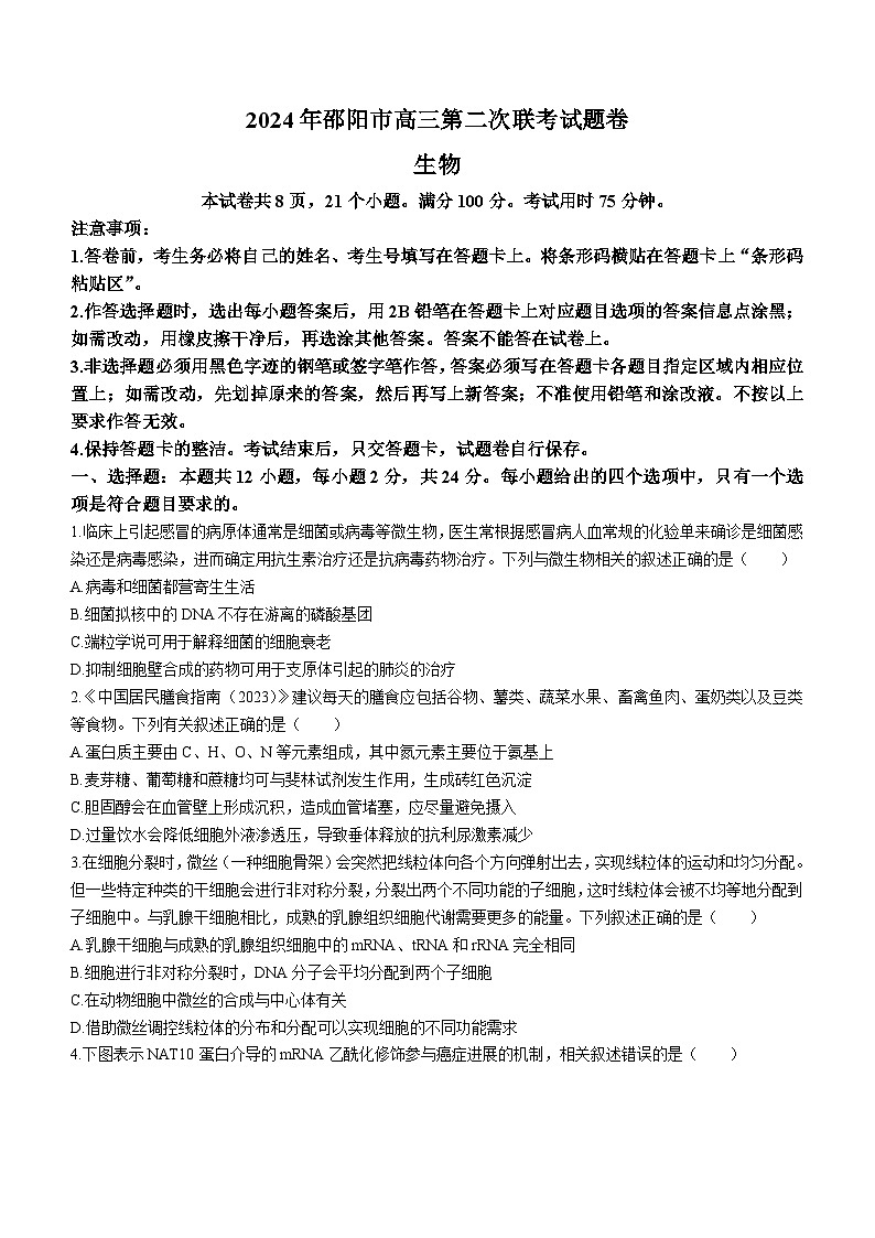 2024邵阳高三下学期二模生物试题含答案第1页