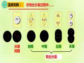 2024春高中生物第2章基因和染色体的关系2.1减数分裂和受精作用第3课时课件新人教版必修2