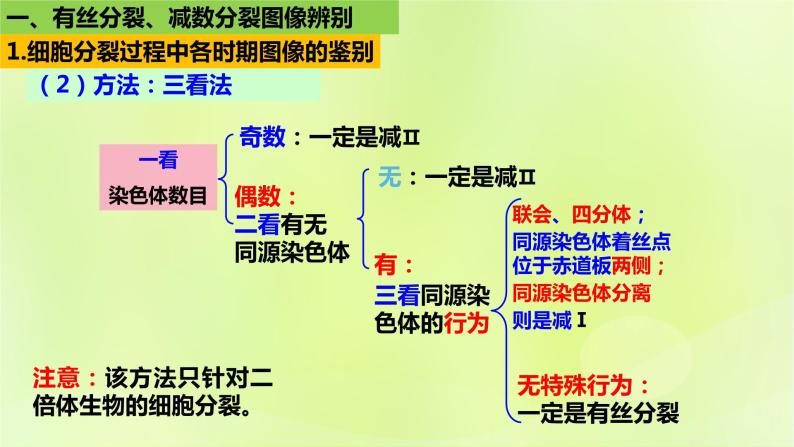 2024春高中生物第2章基因和染色体的关系2.1减数分裂和受精作用第3课时课件新人教版必修207