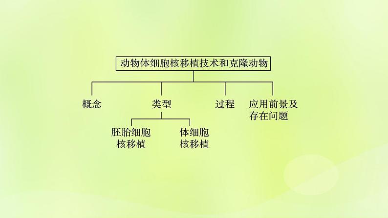 2024春高中生物第2章细胞工程第2节动物细胞工程2.3动物体细胞核移植技术和克炉物课件新人教版选择性必修302