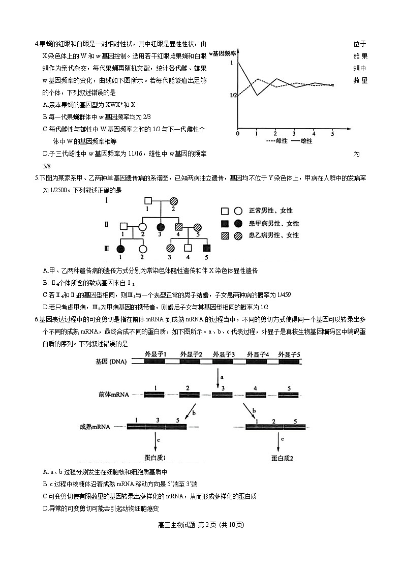 2024年3月济南市高三模拟考试(生物)第2页