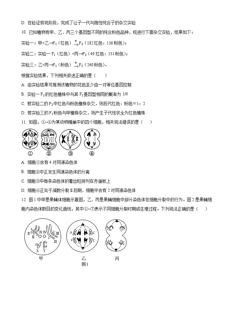 精品解析：陕西省安康市高新中学2023-2024学年高一下学期3月月考生物试题（原卷版）第3页