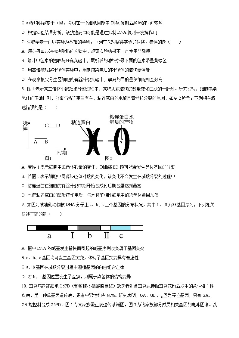安徽省淮北市2024届高三下学期第一次质量检测（一模）生物试题（一模+一模）03