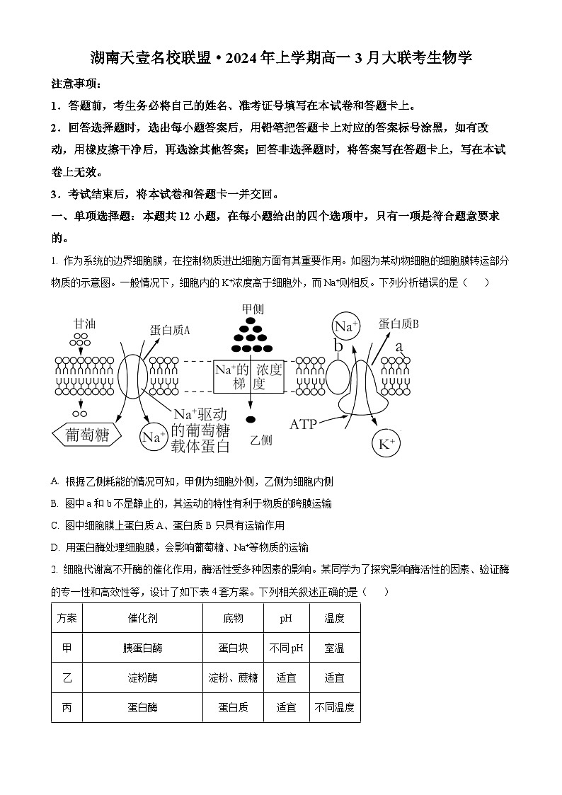 湖南省衡阳市2023-2024学年高一下学期3月联考生物试卷（原卷版+解析版）01