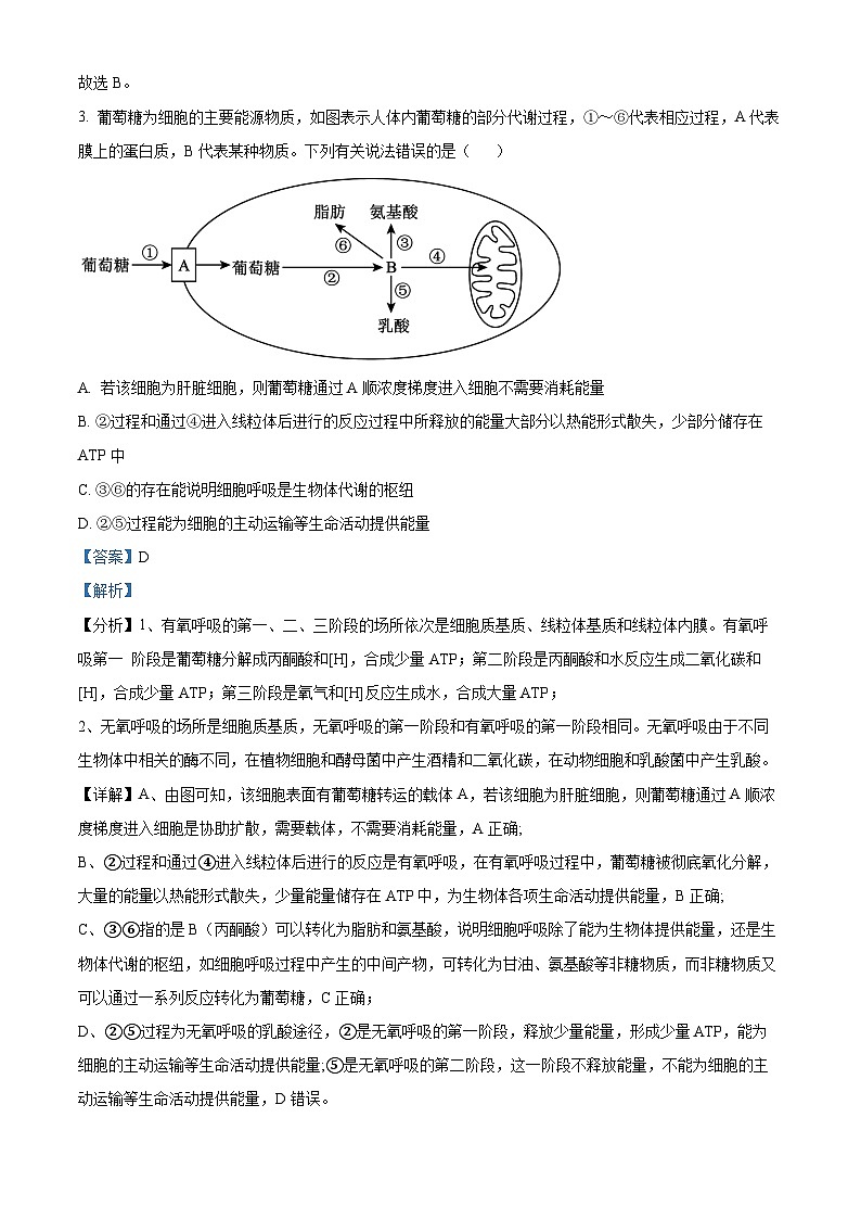 湖南省衡阳市2023-2024学年高一下学期3月联考生物试卷（原卷版+解析版）03
