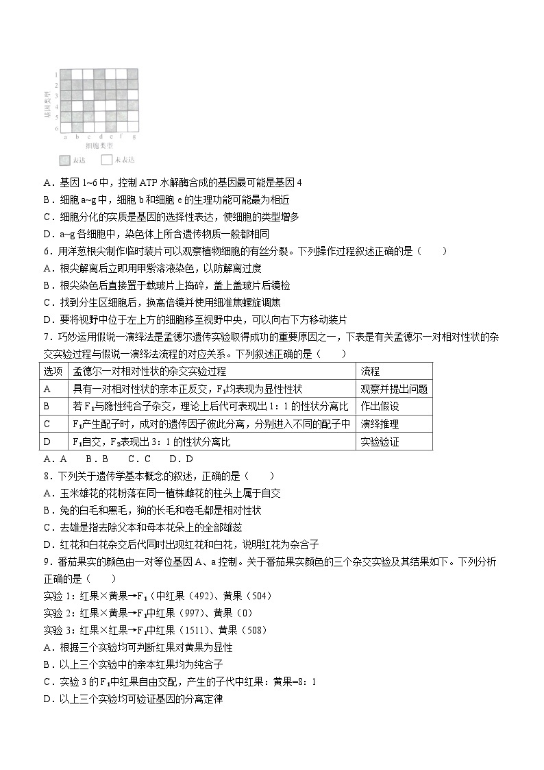 安徽省皖北县中联盟2023-2024学年高一下学期3月月考生物试题02