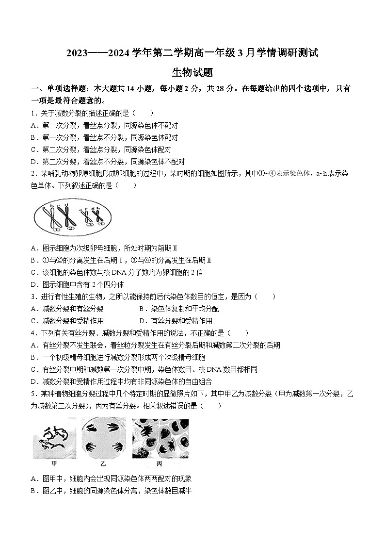 江苏省扬州市高邮市2023-2024学年高一下学期3月月考生物试题第1页