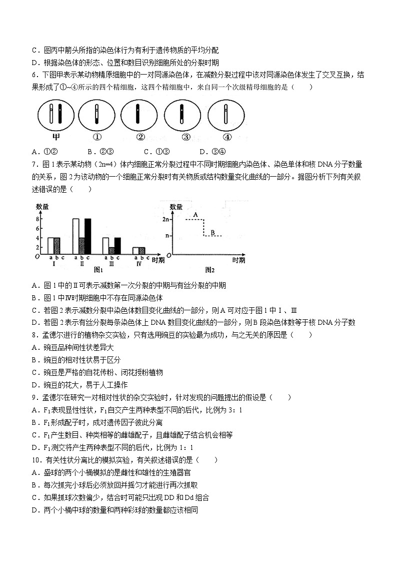 江苏省扬州市高邮市2023-2024学年高一下学期3月月考生物试题第2页