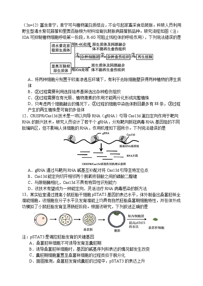 江苏省扬州中学2023-2024学年高二下学期3月月考生物试题第3页