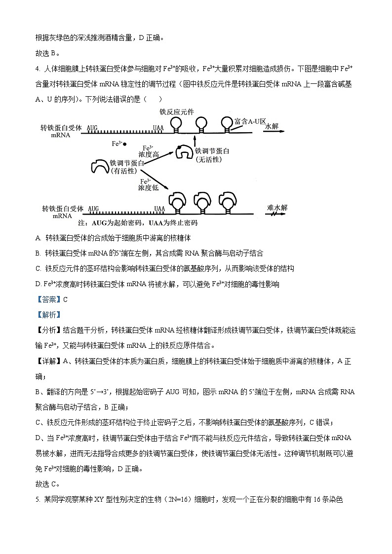 江西省鹰潭市2024届高三一模生物试卷（Word版附解析）03