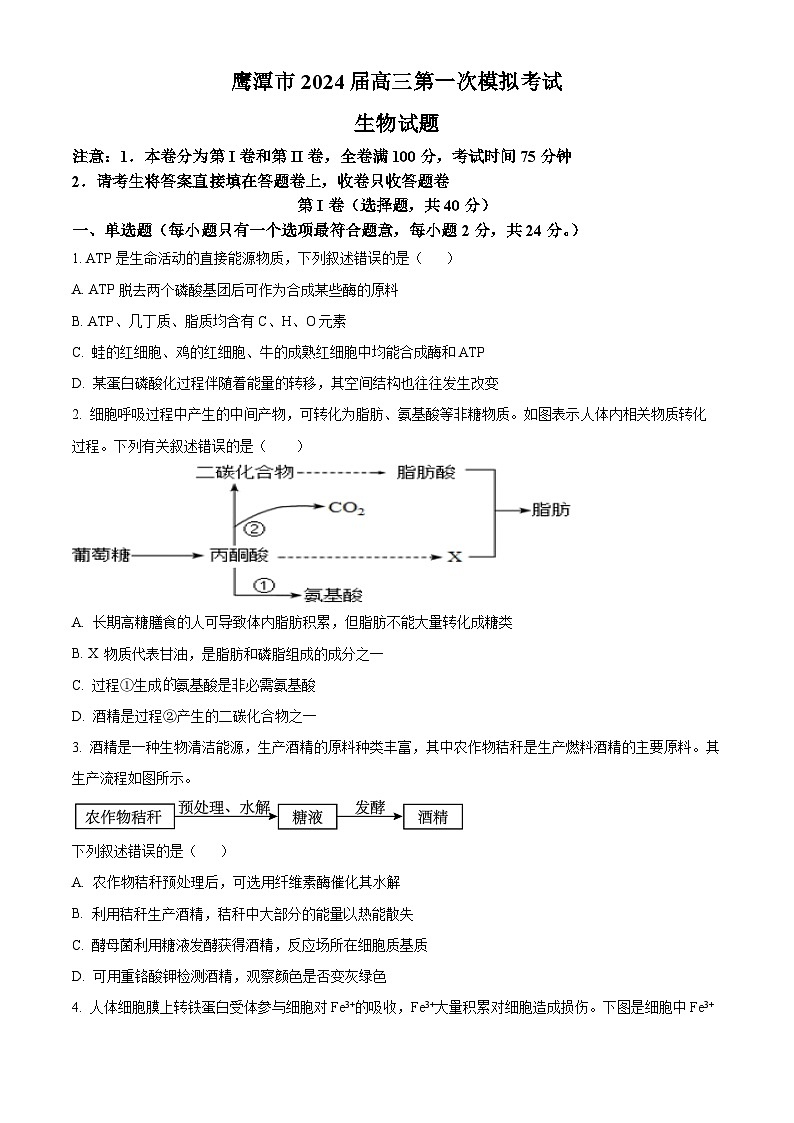 江西省鹰潭市2024届高三一模生物试卷（Word版附解析）01