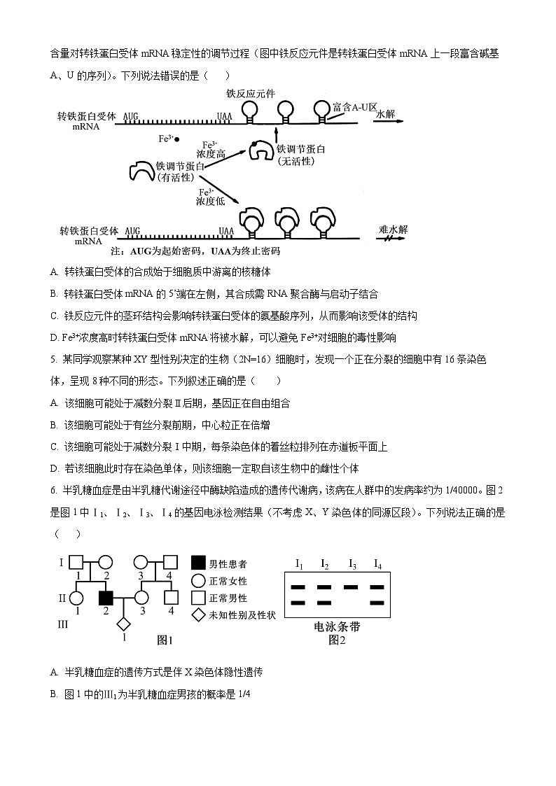 江西省鹰潭市2024届高三一模生物试卷（Word版附解析）02