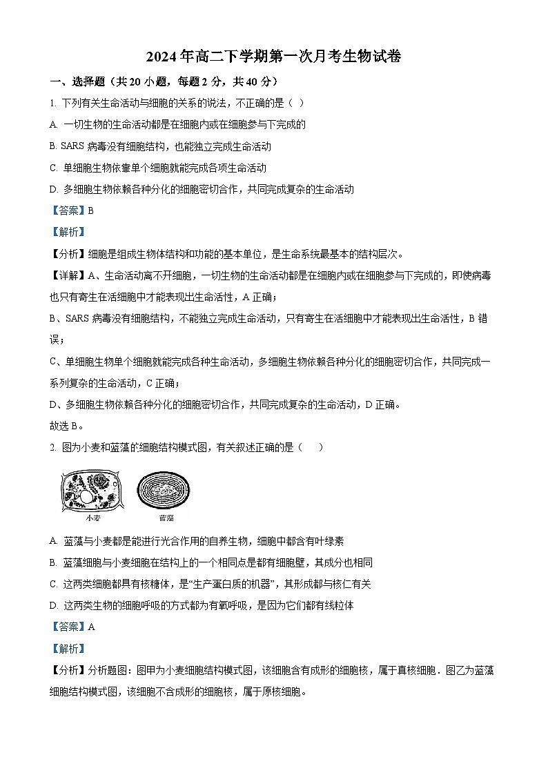 湖南省岳阳市岳阳县第一中学2023-2024学年高二下学期3月月考生物试卷（Word版附解析）01