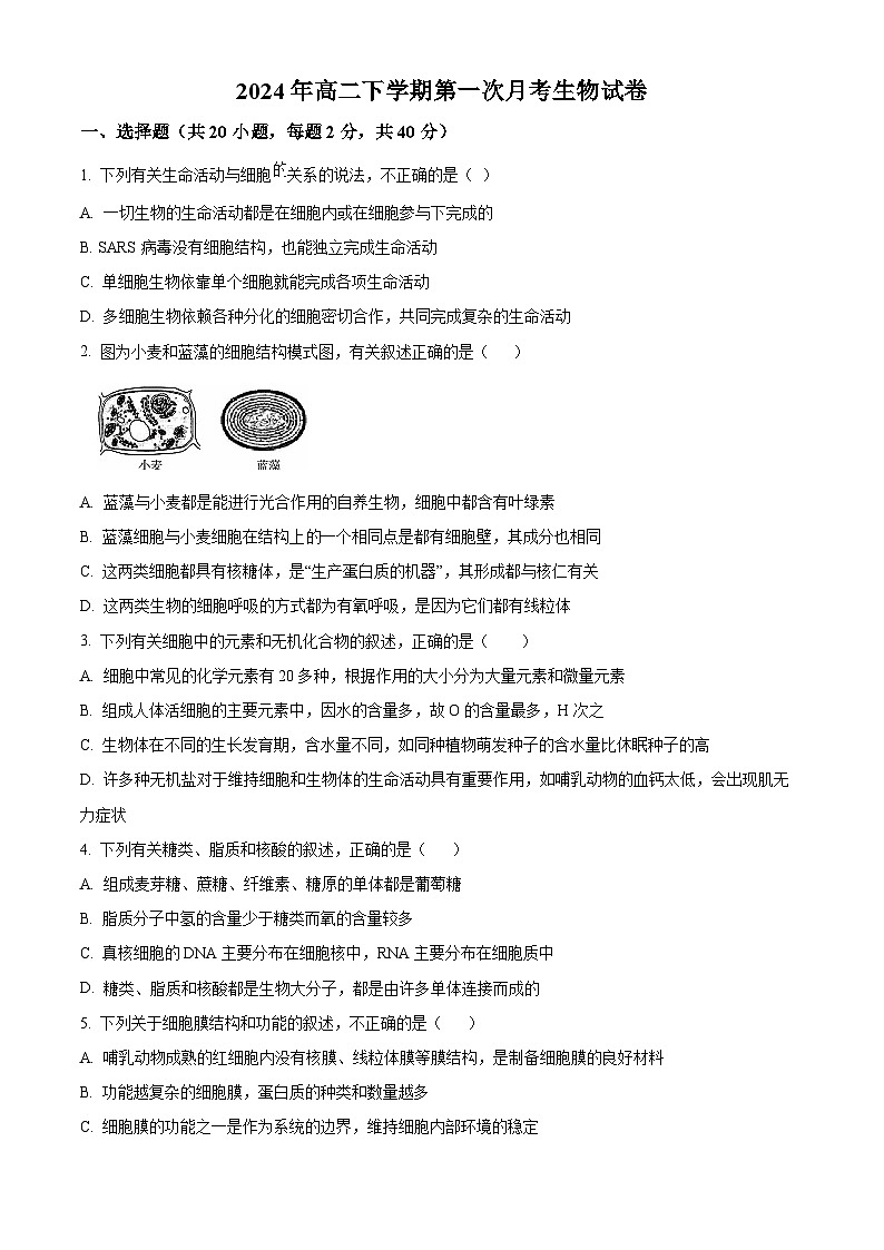 湖南省岳阳市岳阳县第一中学2023-2024学年高二下学期3月月考生物试卷（Word版附解析）01