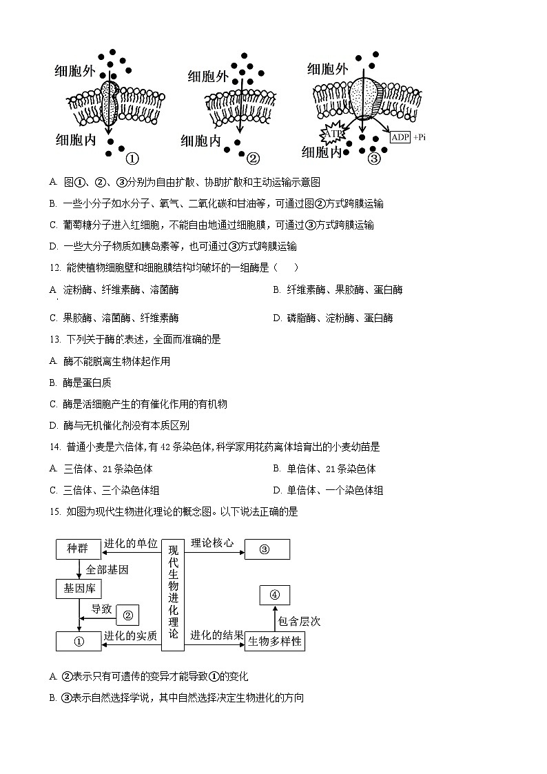 湖南省岳阳市岳阳县第一中学2023-2024学年高二下学期3月月考生物试卷（Word版附解析）03