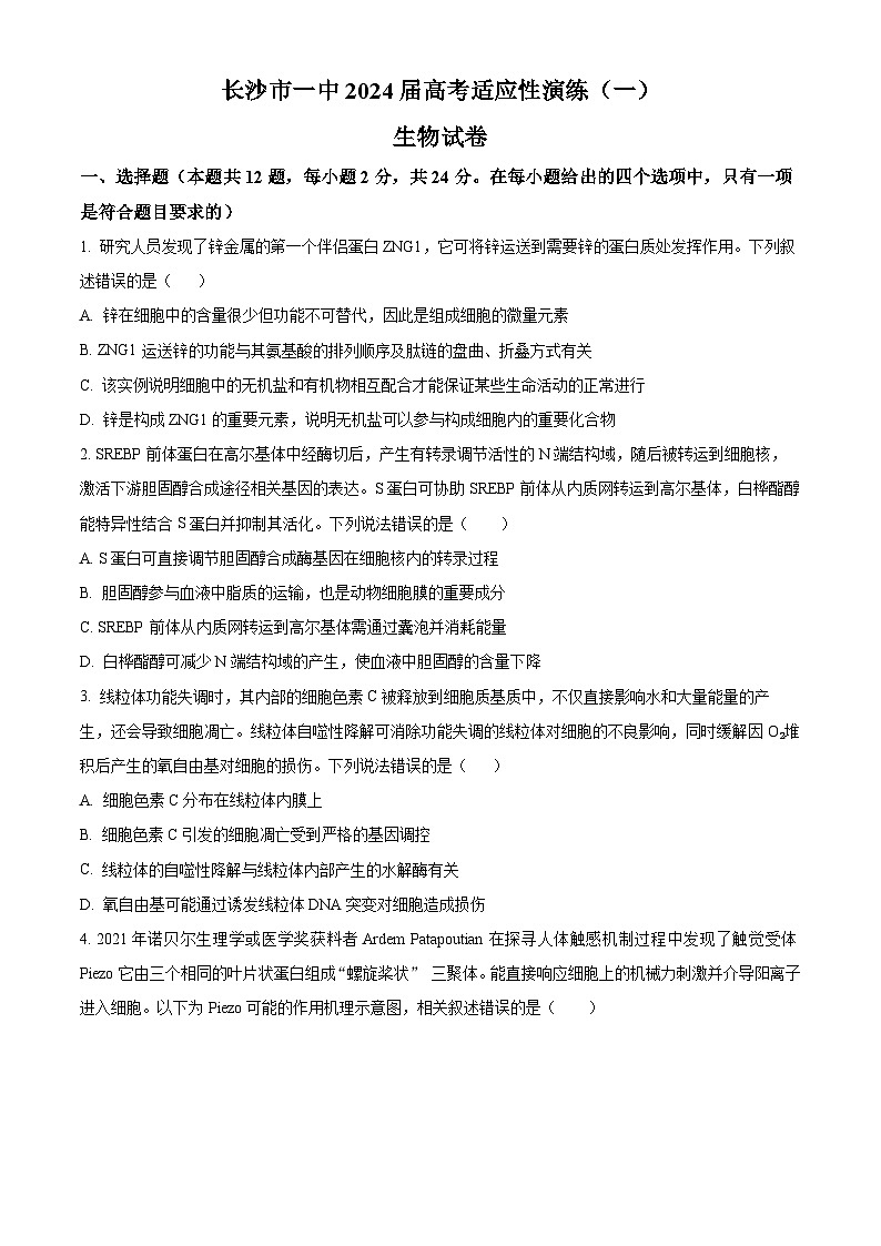 湖南省长沙市第一中学2024届高三下学期高考适应性演练（一）生物试题 Word版无答案第1页