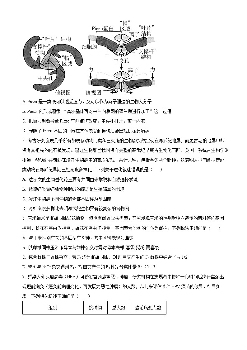 湖南省长沙市第一中学2024届高三下学期高考适应性演练（一）生物试题 Word版无答案第2页