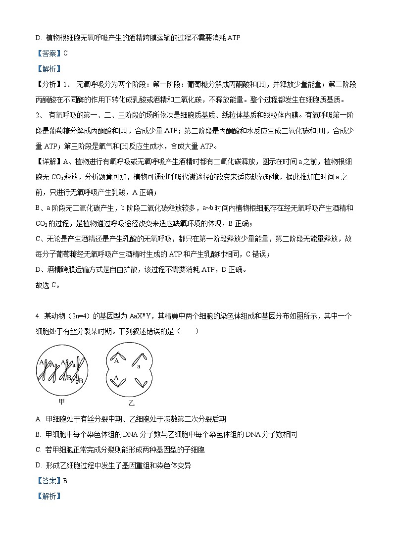 湖南省邵东市第一中学2023-2024学年高二下学期3月月考生物试卷（Word版附解析）第3页