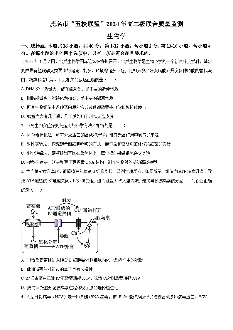 广东省茂名市五校联盟2023-2024学年高二下学期3月联考生物试卷（Word版附解析）第1页