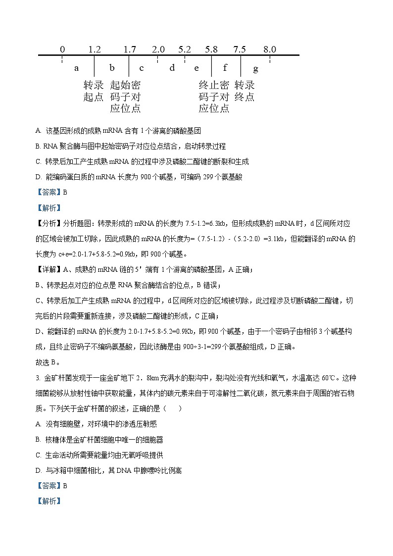 山东省菏泽市鄄城县第一中学2024届高三上学期10月月考 生物答案第2页