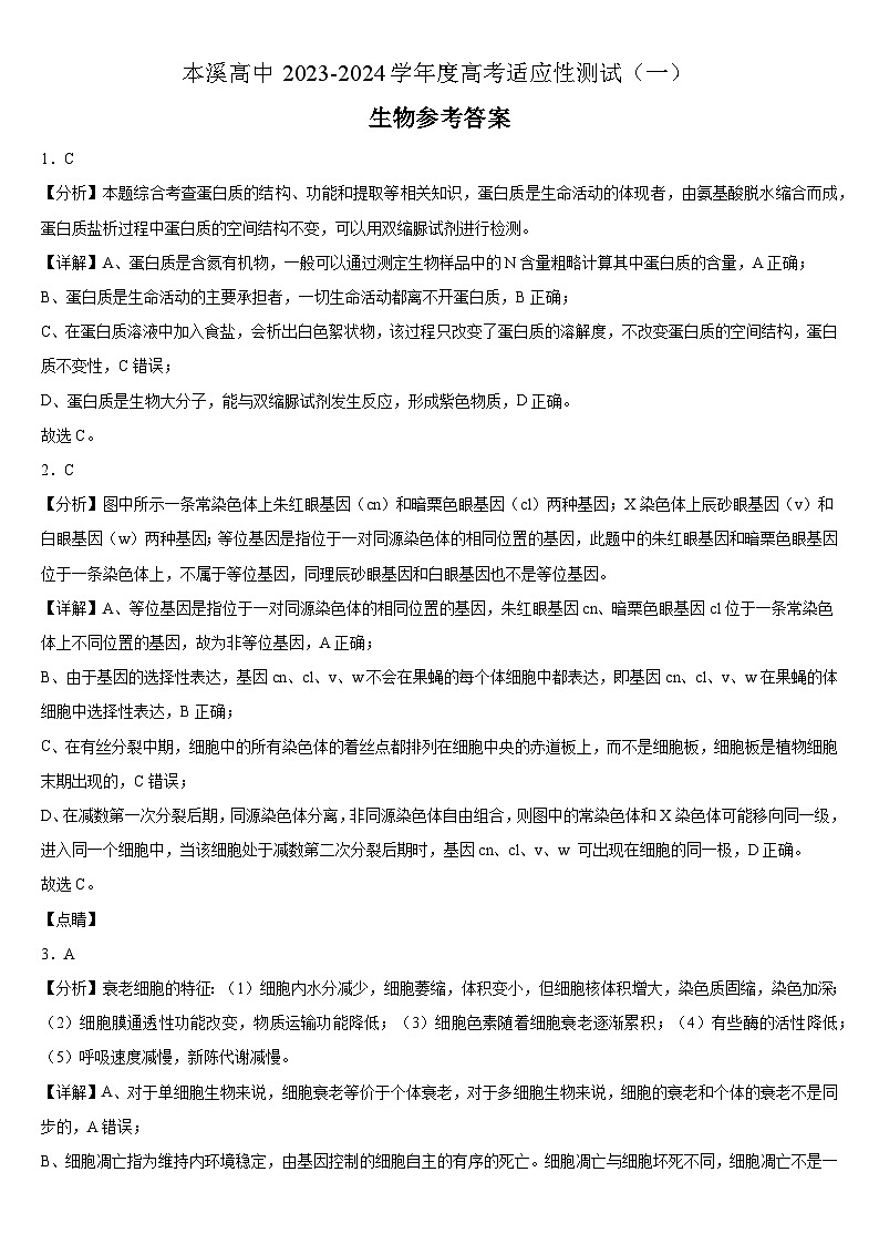 本溪高中2023-2024学年度高考适应性测试（一）生物参考答案01