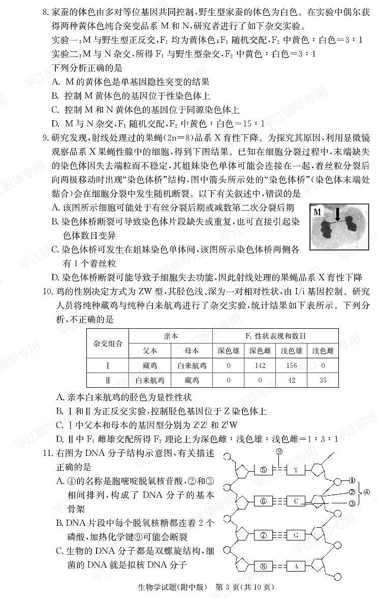 湖南师范大学附属中学2023-2024学年高三上学期月考卷（四）生物第3页