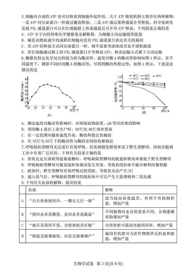 辽宁省丹东市2023-2024学年高三上学期11月阶段测试 生物02