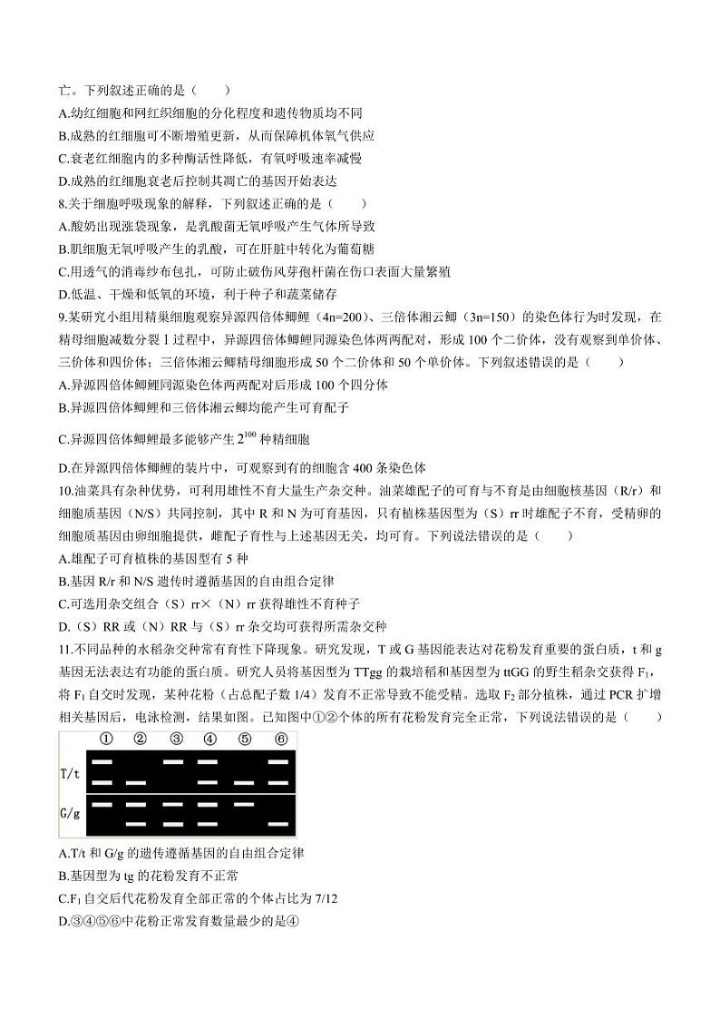 2024届山东省潍坊市高三上学期10月过程性检测 生物第3页