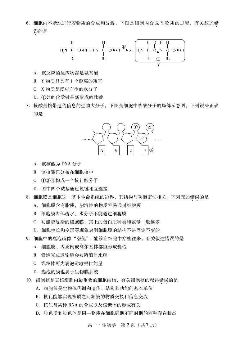 广东省汕尾市2022-2023学年高一上学期2月期末教学质量监测生物02