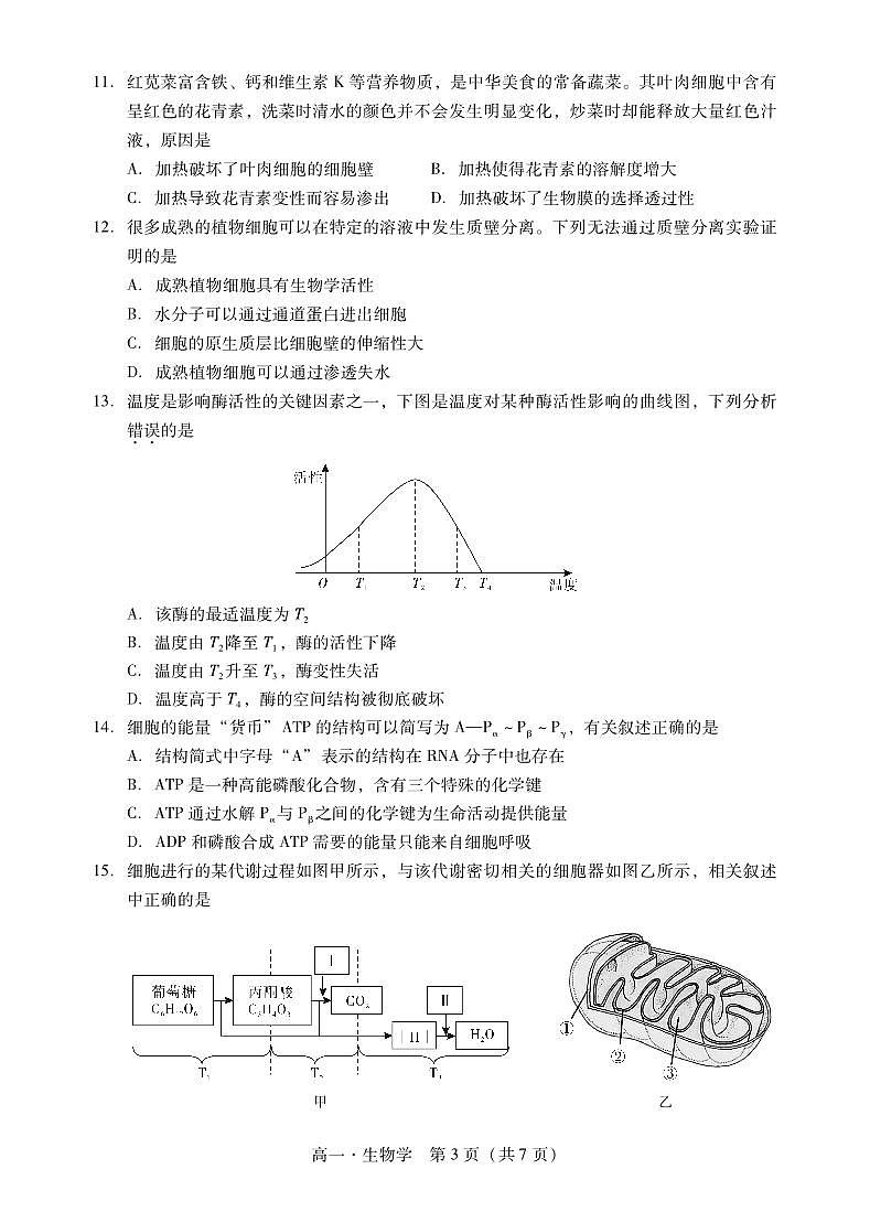 广东省汕尾市2022-2023学年高一上学期2月期末教学质量监测生物03