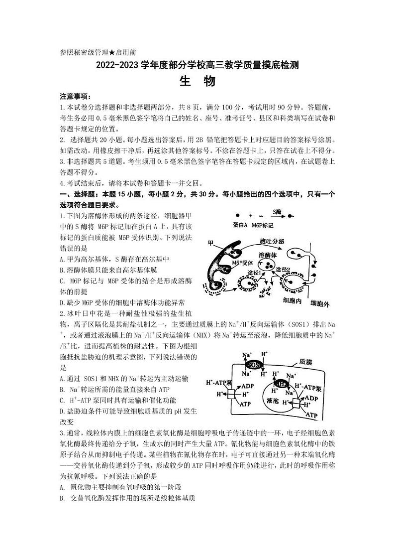 山东省淄博市部分学校2022-2023学年高三上学期12月摸底考试生物试题含答案01