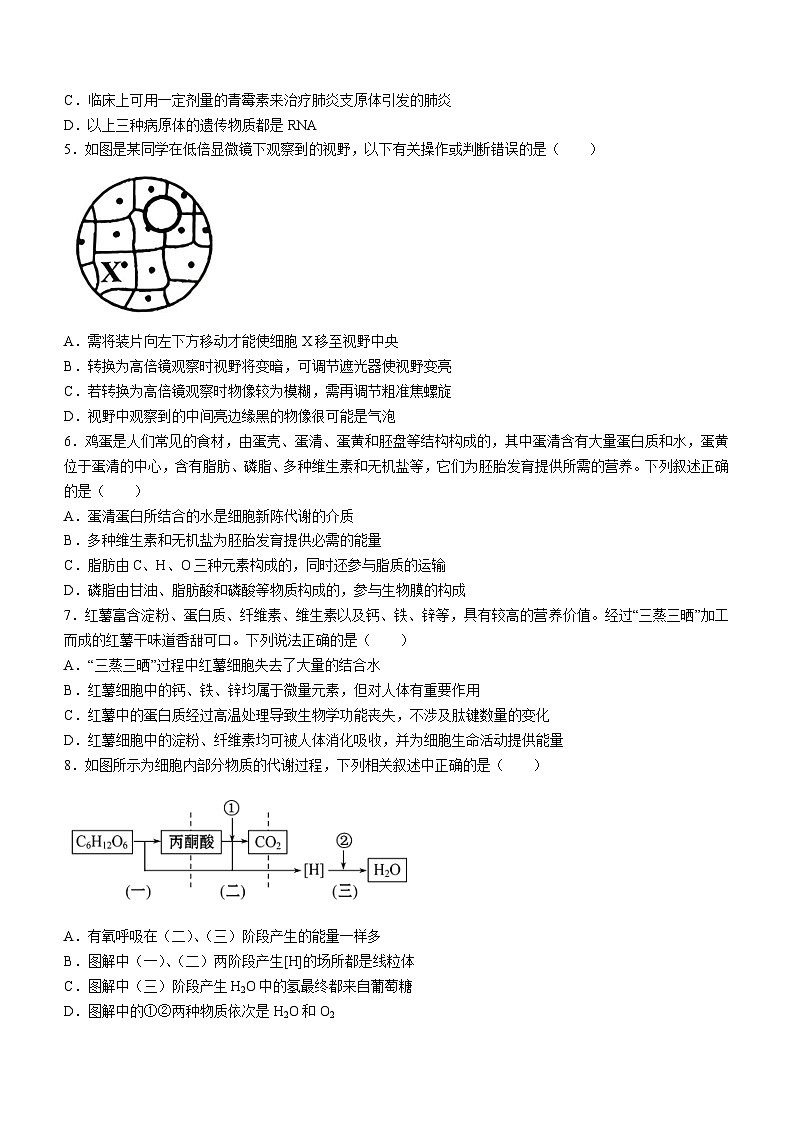 四川省成都市金牛区成都外国语学校2023-2024学年高二下学期3月月考生物试题02