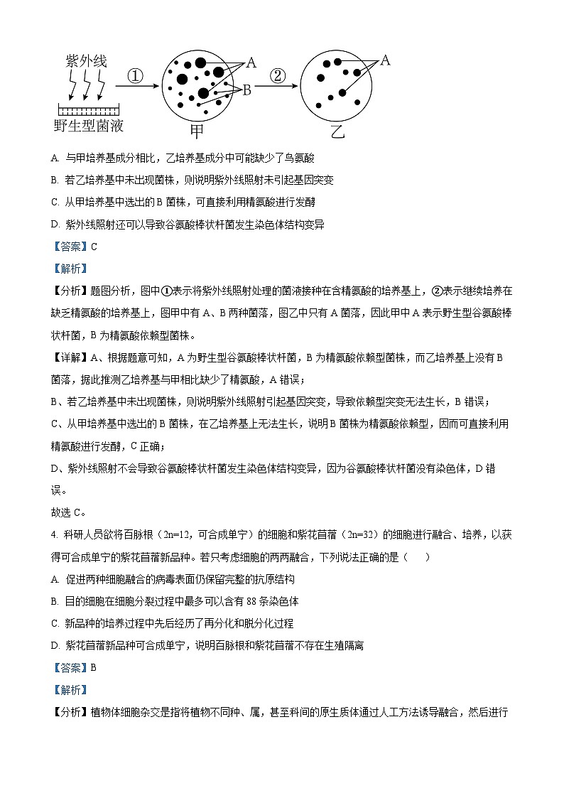 广东省高州市2023-2024学年高二下学期3月月考生物试题（原卷版+解析版）03