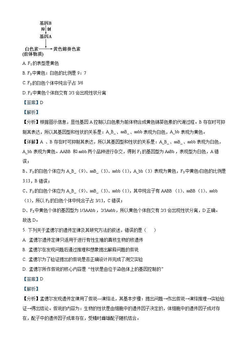 江苏省无锡市江阴市两校联考2023-2024学年高一下学期3月月考生物试题（原卷版+解析版）03