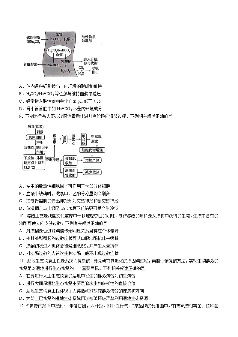 2024届湖南省衡阳市高三二模生物试题03