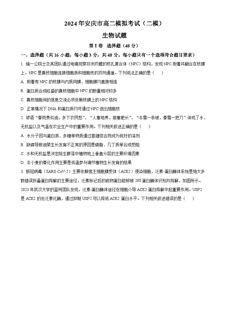 2024安庆高三下学期二模试题生物含解析01