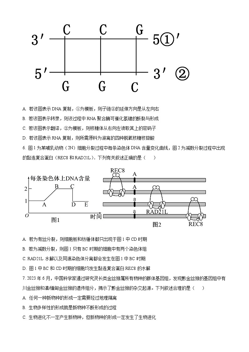 2024安庆高三下学期二模试题生物含解析03